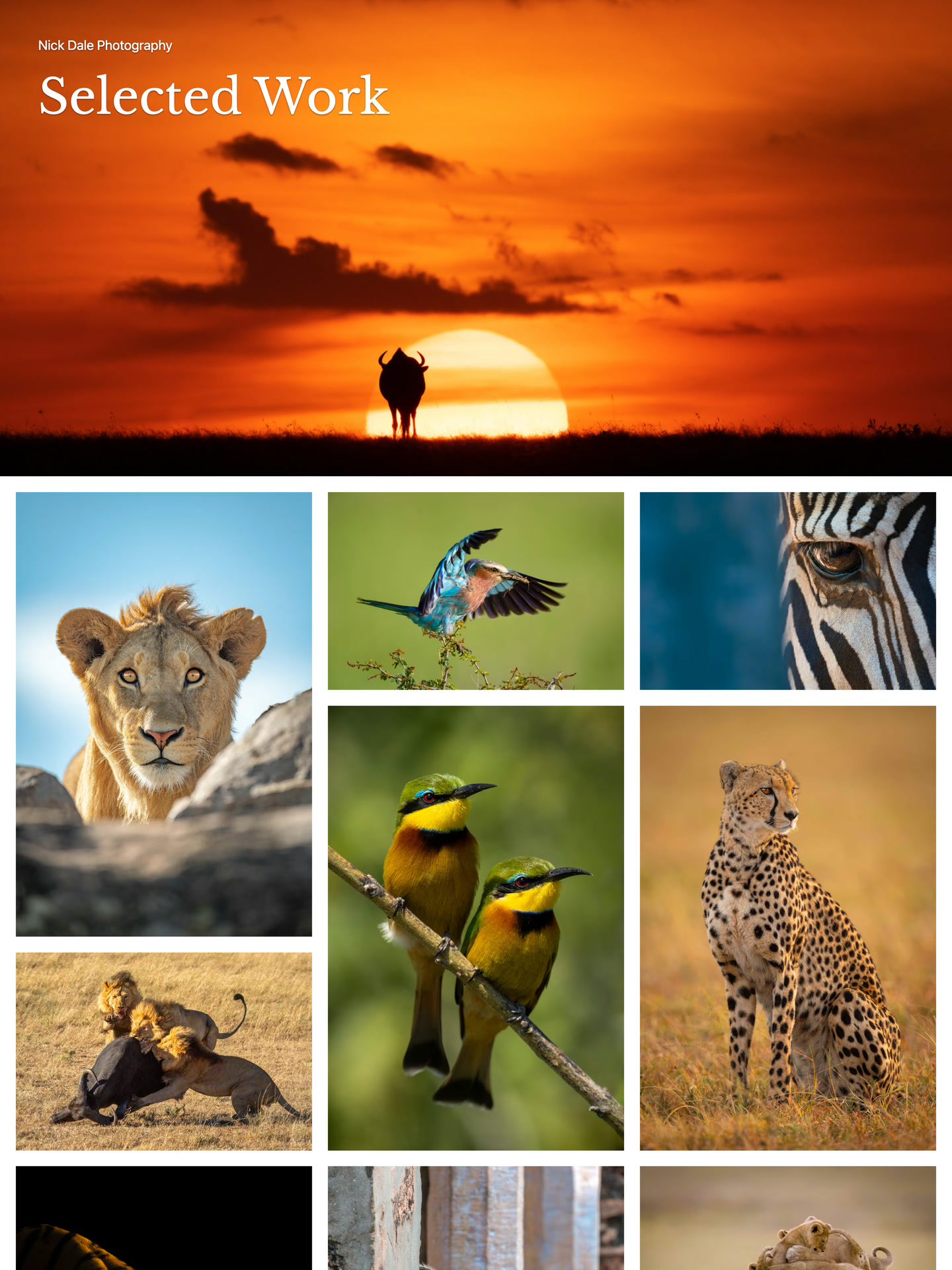 Selected Work gallery by Nick Dale Photography