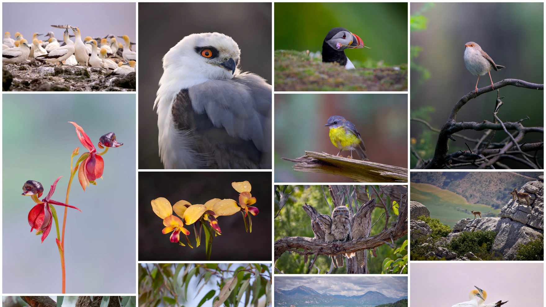 Published ISO100 gallery example